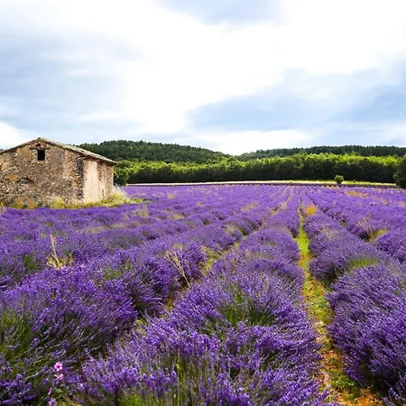 Petit Atypique Et Cosy En Provence * Saint-Étienne-les-Orgues