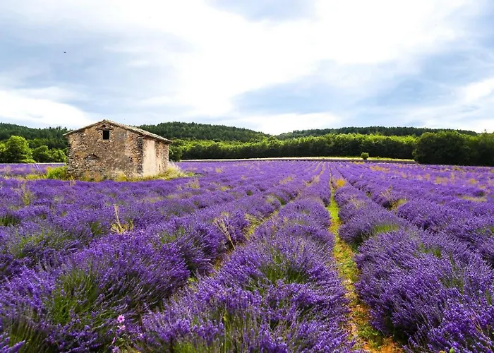 Petit Atypique Et Cosy En Provence * Saint-Étienne-les-Orgues